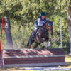 Amanda Merritt – Anchor Equestrian